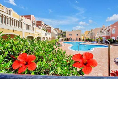One bedroom appartement with shared pool terrace and wifi at Palm Mar 1 km away from the beach
