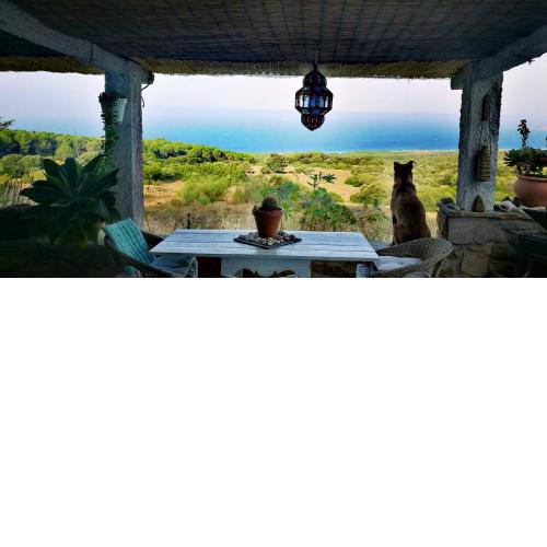 One bedroom house with sea view enclosed garden and wifi at El Chaparral 2 km away from the beach