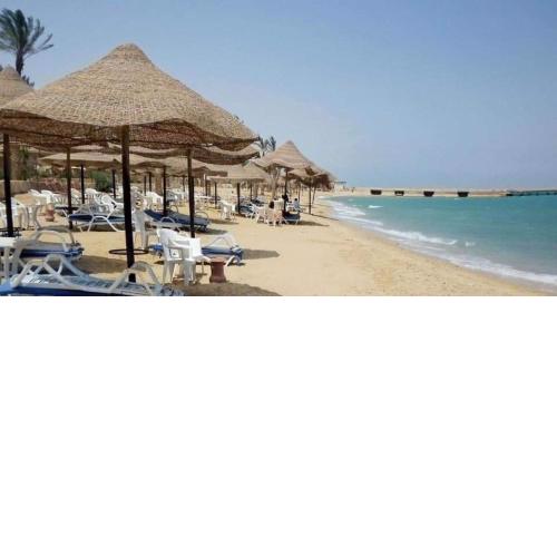 One Bedroom Studio With Air Conditioner at La Sirena Red Carpet