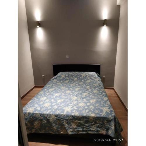 One Nice bedroom in center of Athens
