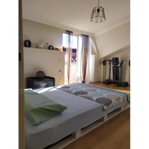 only rooms in a big comfort house