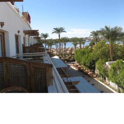 Oonas Dive Club