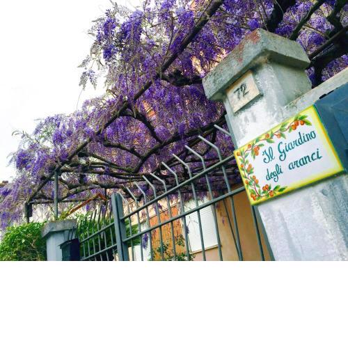 Orange Garden