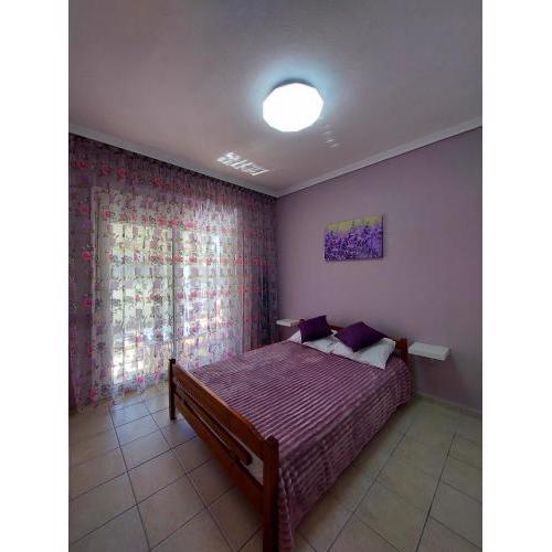 Orange Tree Apartment