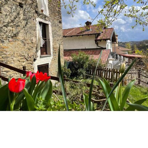 Orbregno Country Houses with Personal Wine Cellar