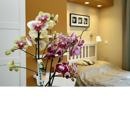 Orchidea Apartman Eger
