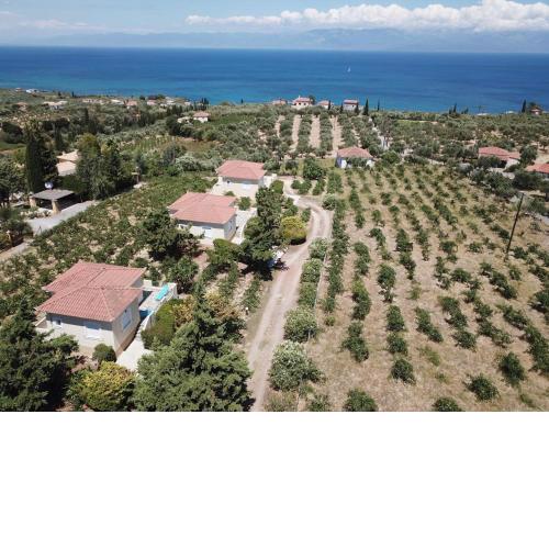 ORFANOS 2