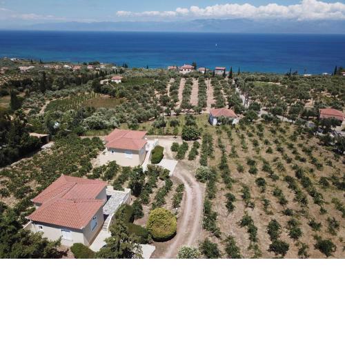 ORFANOS 3