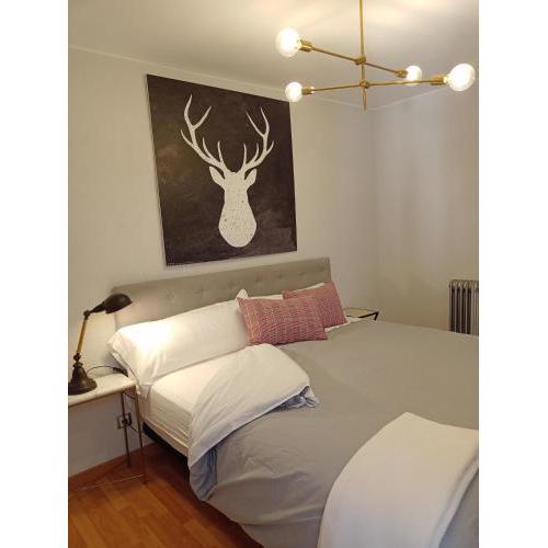 ORIGEN PELAIRE , centrico, cama king, wifi, ascensor , plaza de garage y mascotas