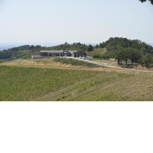 ORIZZONTI Vigneti Repetto