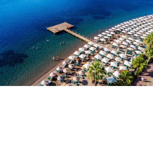 Orka Lotus Beach