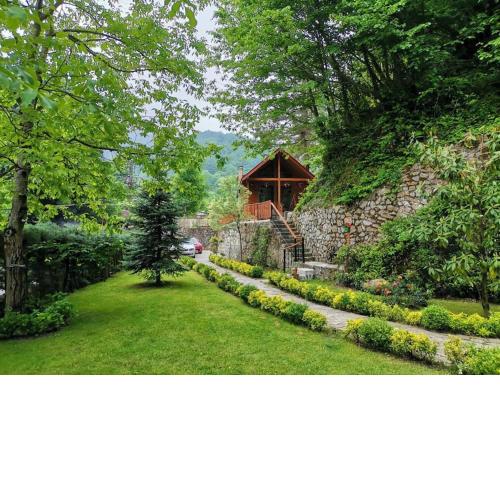 Orman İçinde Mavi Ladin Ağaç Ev