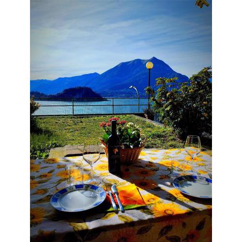 Ortensia Lake Como