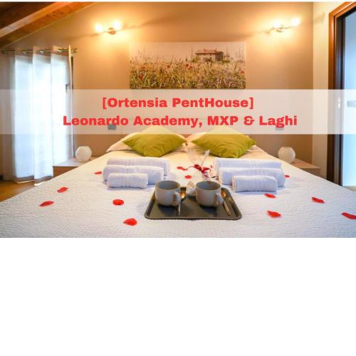 [Ortensia PentHouse] Leonardo Academy, MXP & Laghi