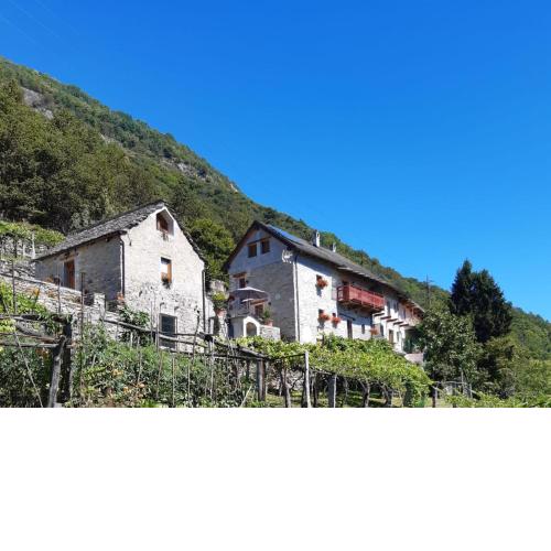 OSSOLA DAL MONTE