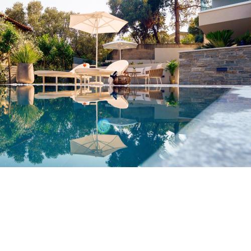 Ostracon Suites