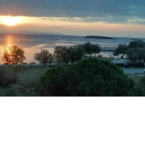 Ostria Appartment, Voula
