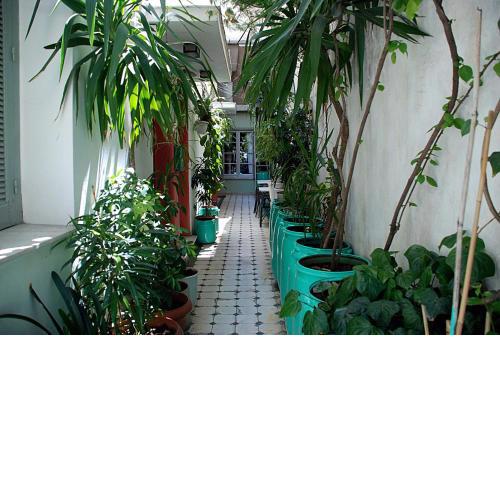 Pagration Youth Hostel