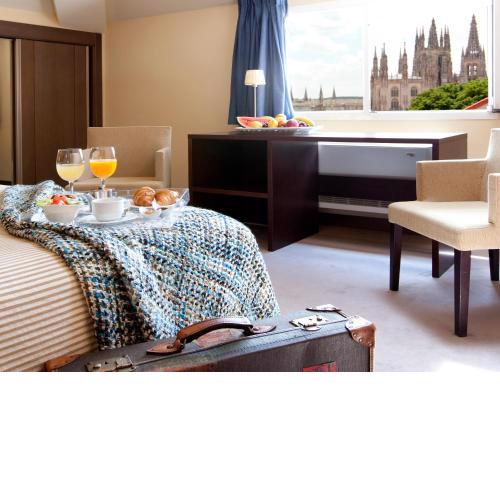 Palacio de los Blasones Suites
