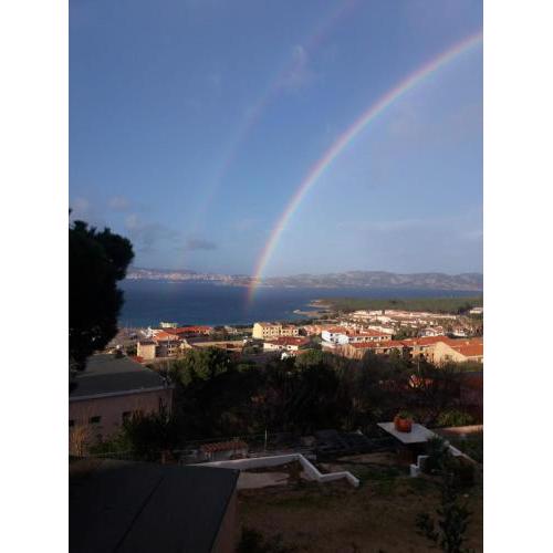 Palau panoramico