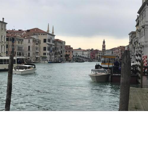 Palazzo Grassi and Accademia Bridge superb House