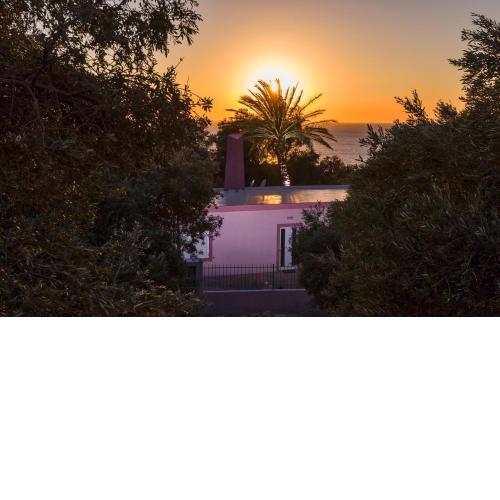 Palm Beach House