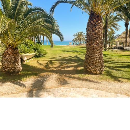 Palm Beach Paradise - Private access to the beach
