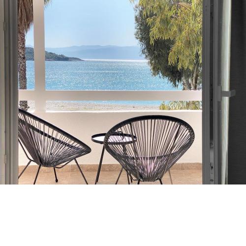 Palm Suite Blue