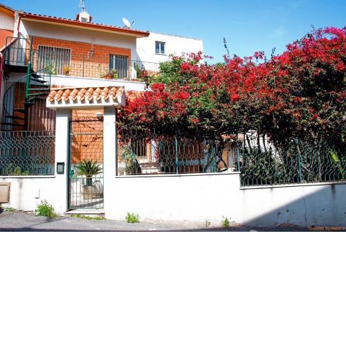Palma e Boungaville