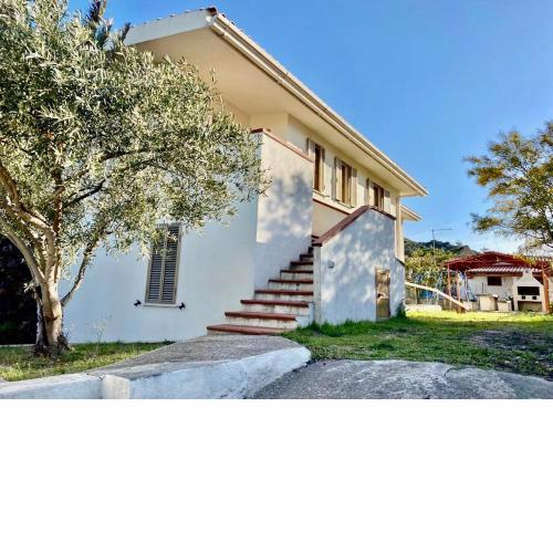 Palma House