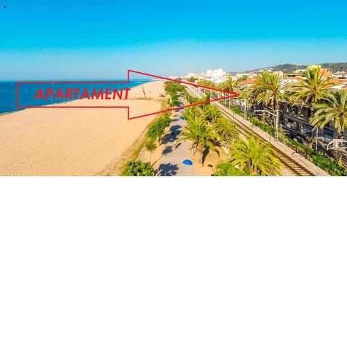 PALMA