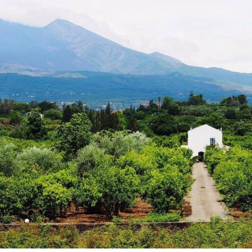 Palmento Etna Sicilia