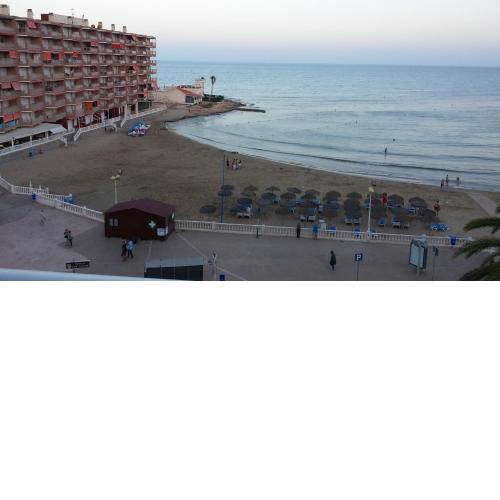 Palmeral de Torrevieja