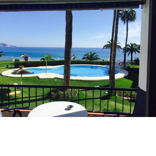 PALMERAS 53 MENYBER