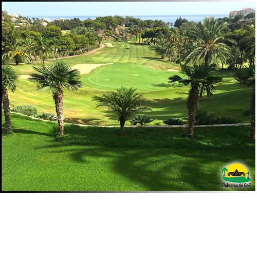 Palmeras del Golf - Torrequebrada