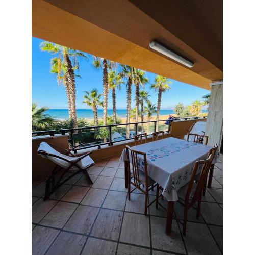 Palms Beach House