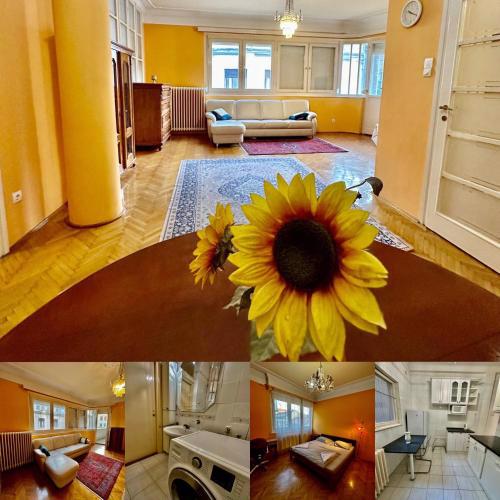 Panorama Apartment with Danube view