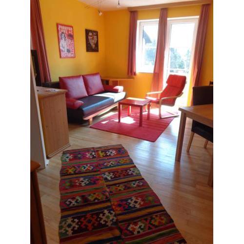 Panorama Appartment