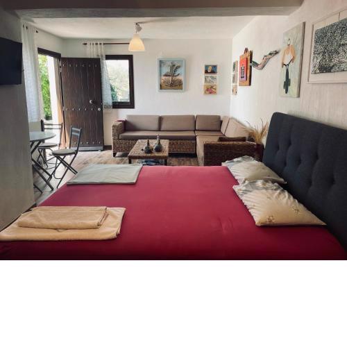 Panorama Studio Afetes