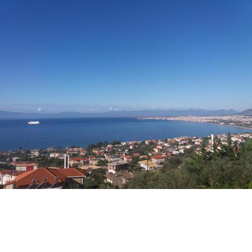 Panorama View