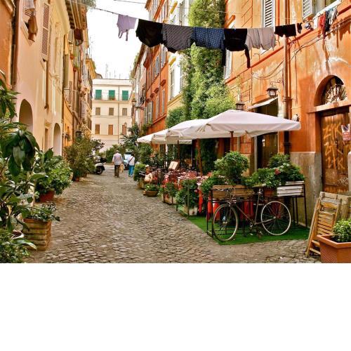 Panoramic Castle Apt Trastevere