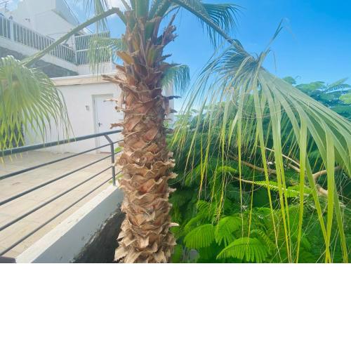 Panoramic Seaview Apartment, Tenerife