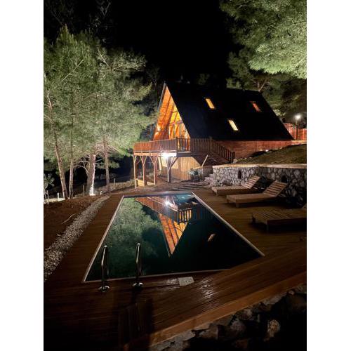 Panurlawoodenhouse mavi