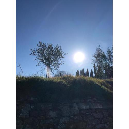 Paola's Villa, Tuscany