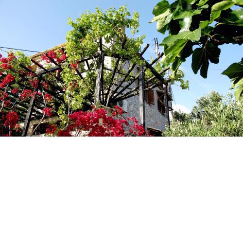Papanestoras Apartments