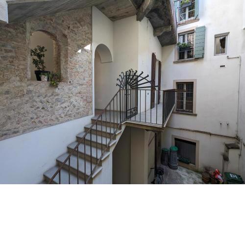 Papavero Piazza Delfino