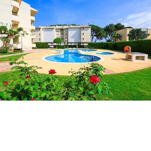 Paradis Mar