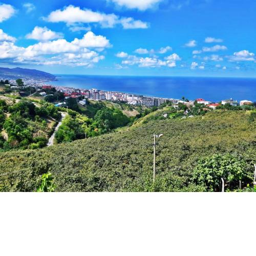 Paradise Villa Trabzon