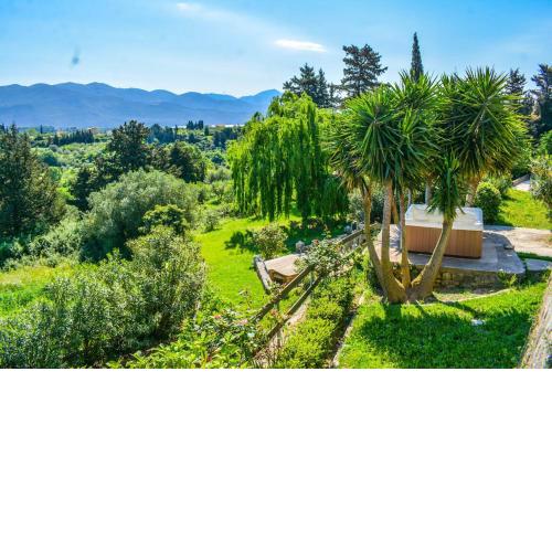 Paradiso Verde