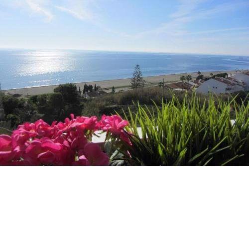Paraiso del Sol II